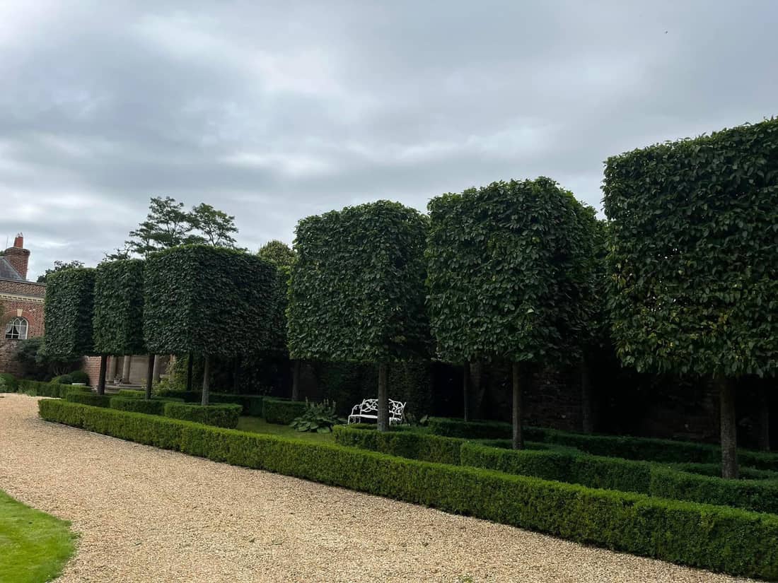 A row of tall clipped topiary along a gravel drive